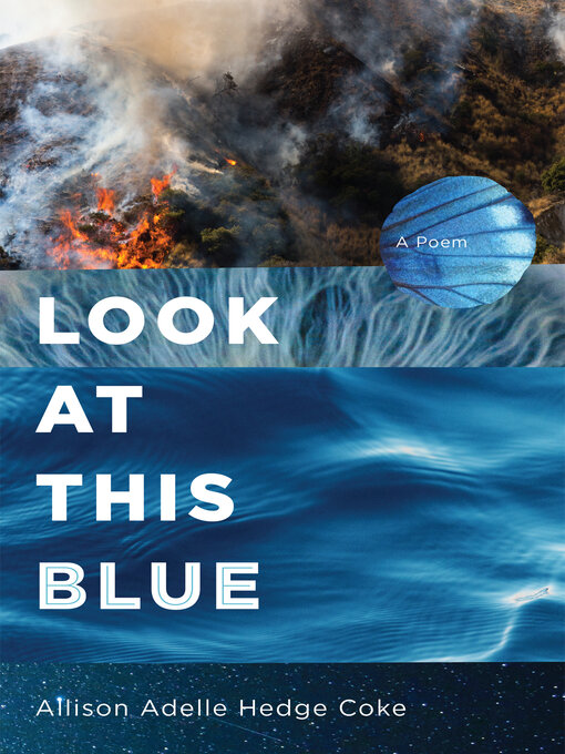 Title details for Look at This Blue by Allison Adelle Hedge Coke - Available